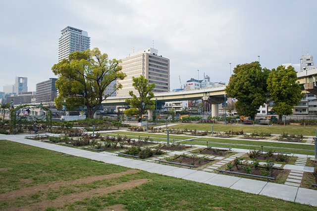 สวนสาธารณะแห่งโอซาก้า