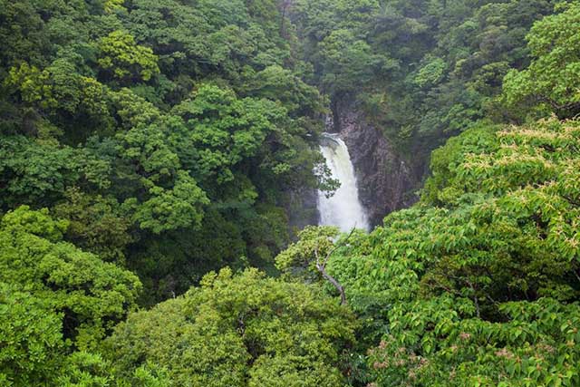 The Waterfalls in Yakushima