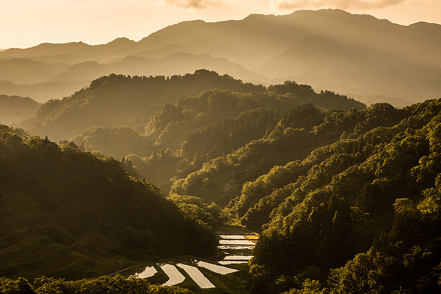 A Journey into Nature with the Echigo-Tsumari Art Field