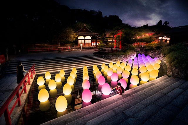 Digitized Forest at the World Heritage Site of Shimogamo Shrine Art by teamLab