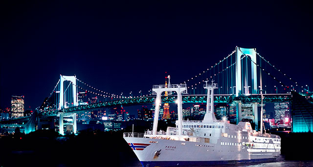 Tokyo Bay Summer Night Cruise