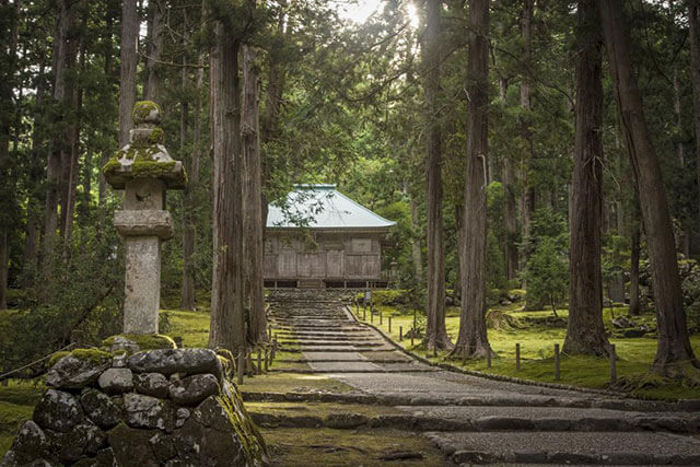 Three things to do at the crack of dawn in Katsuyama and Ono