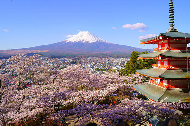 35 Of The Best Things To Do In Yamanashi | Japan Travel By NAVITIME ...