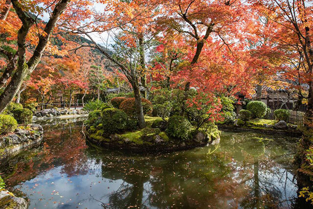 5 สถานที่ชมใบไม้เปลี่ยนสีที่ดีที่สุดในเกียวโต