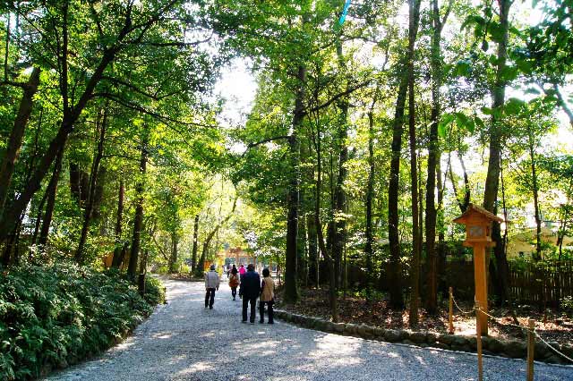 Ise Jingu - A great walk when you're surrounded by nature