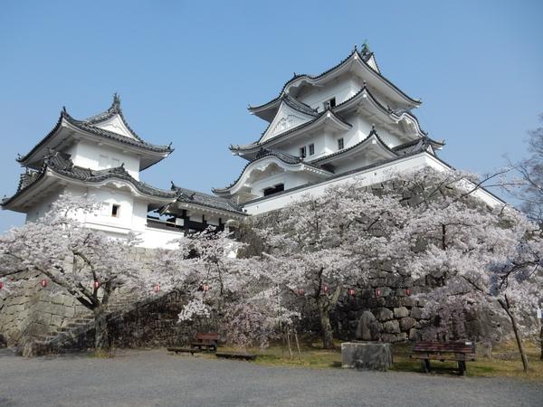 Iga Ueno Castle has a deep connection with the shogun, Tokugawa Ieyasu who is said to have hired many Iga ninjas