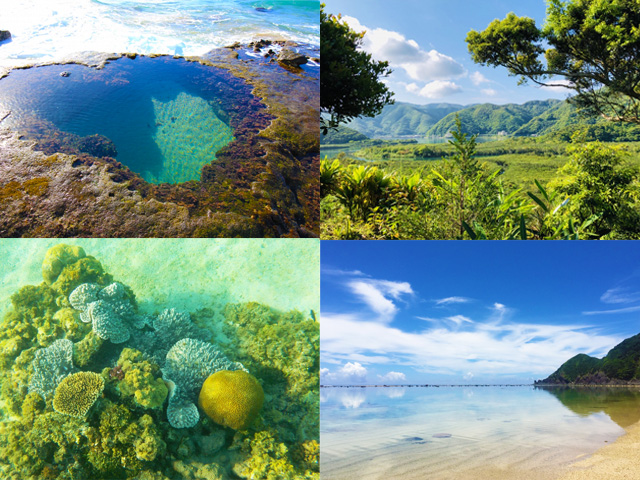 From heart shaped tidal pool to beaches to mangroves, Amami Oshima Island is one of Japan's top island getaways.