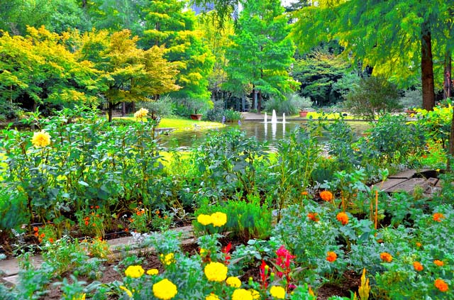 Beautiful pond surrounded by seasonal flowers