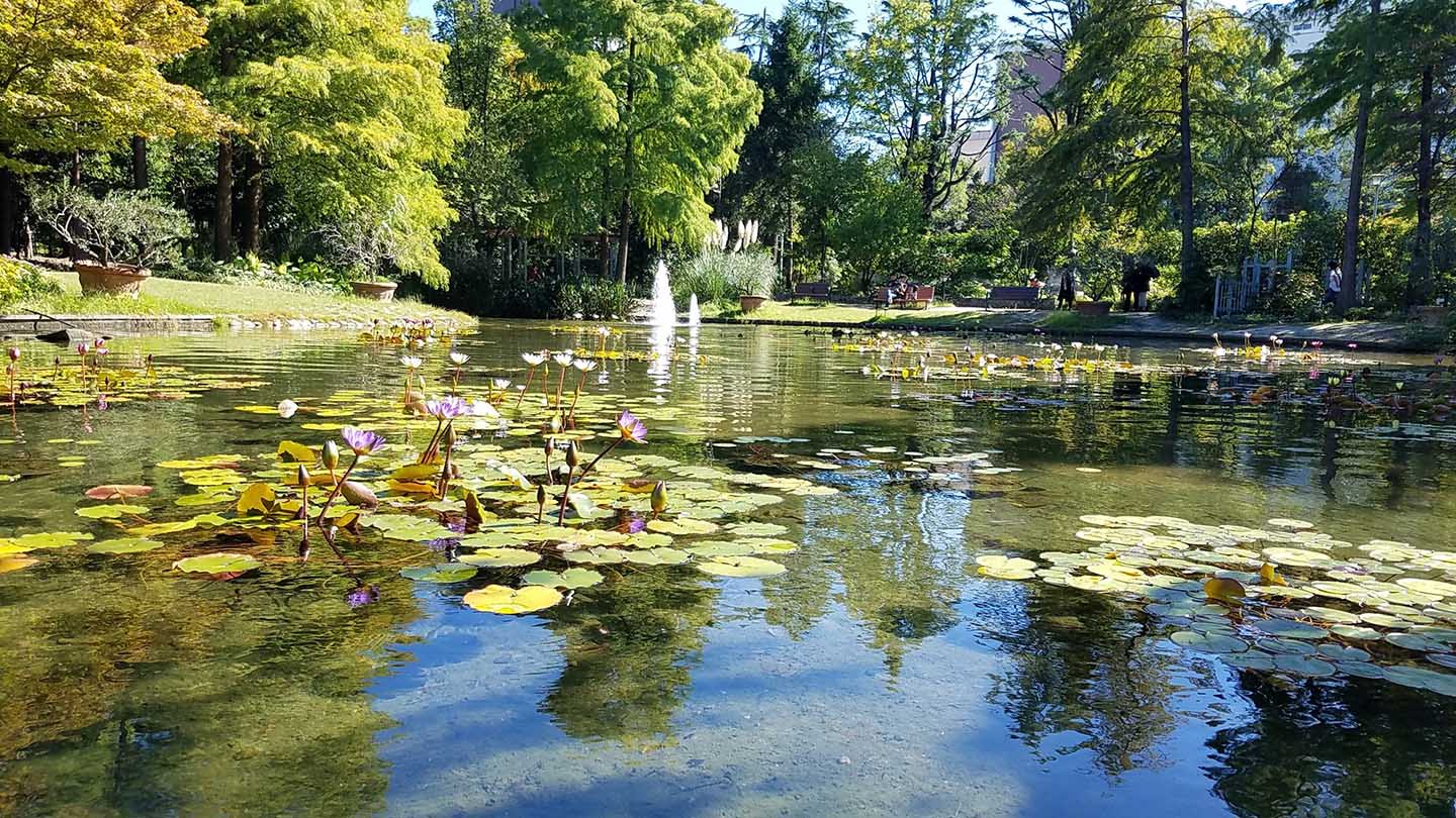 สวนสวยสไตล์ยุโรปใจกลางนาโกย่า: Hisaya-Odori Garden Flarie
