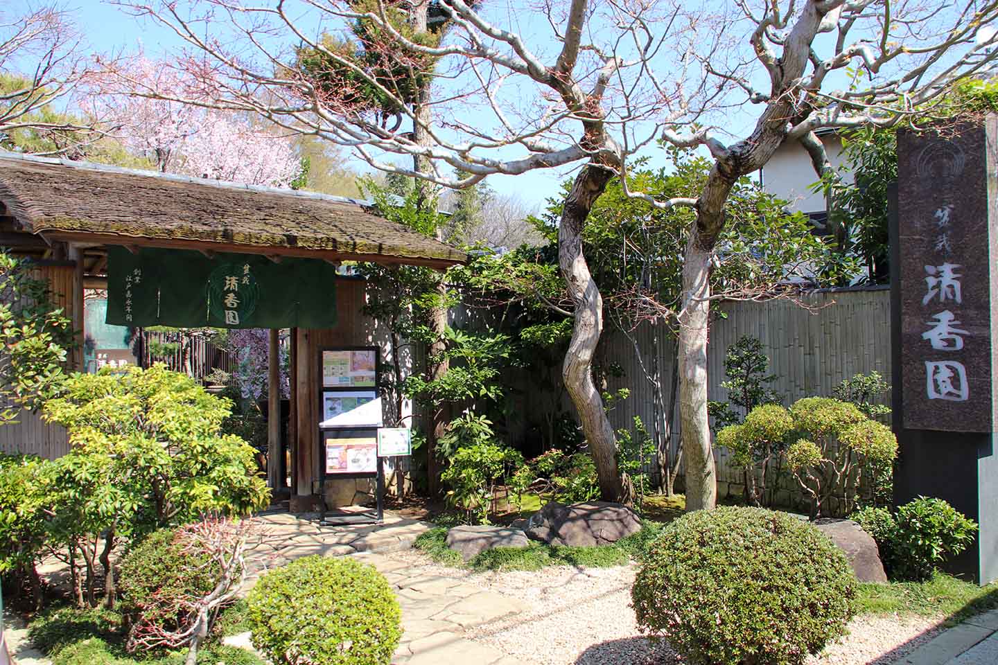 English Bonsai Lessons at SEIKOEN