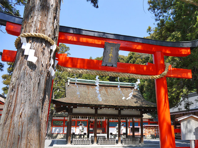 Yoshida Shrine