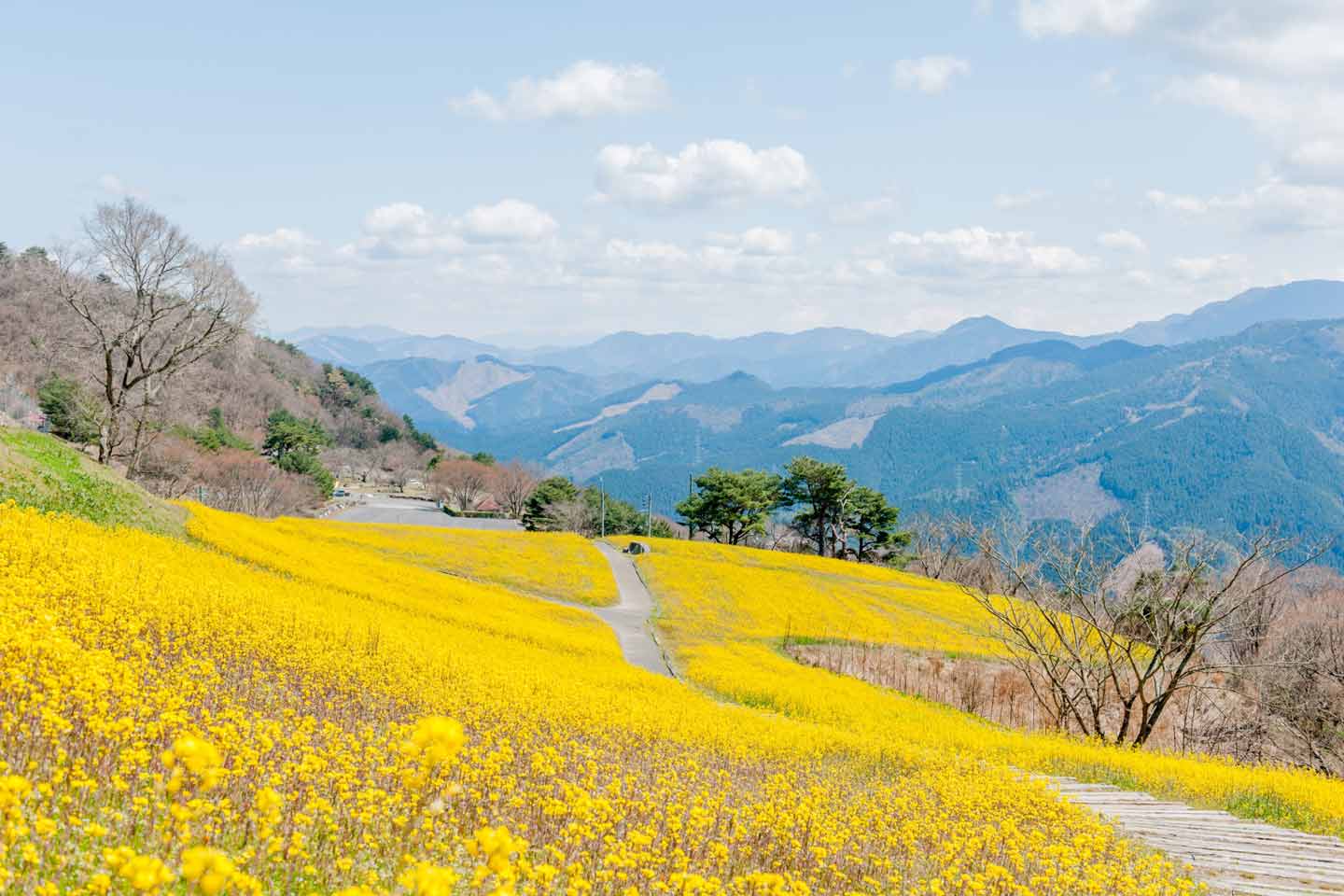 8 Recommended Sightseeing Spots to Visit in Ehime