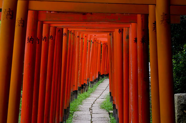 「根津神社」の真っ赤な鳥居をくぐり抜けて