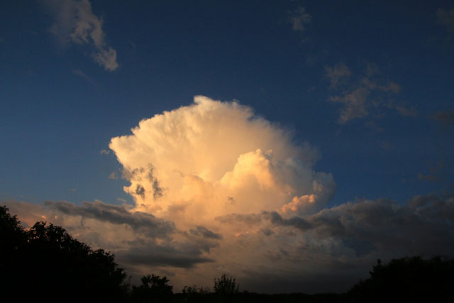 DISASTER INFORMATION Japan Travel By NAVITIME