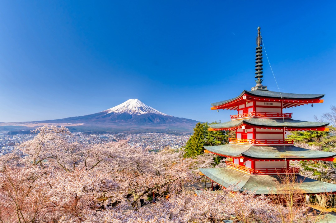 Mt.Fuji, Yamanashi Narusawamura （Minamitsuru） Details, Access