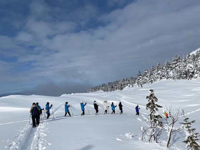 ～Bus Tours from Sapporo and AsahikawaKami-furano Powder Snow Winter ...