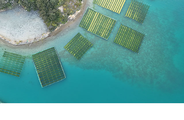 写真提供：神宮司庁