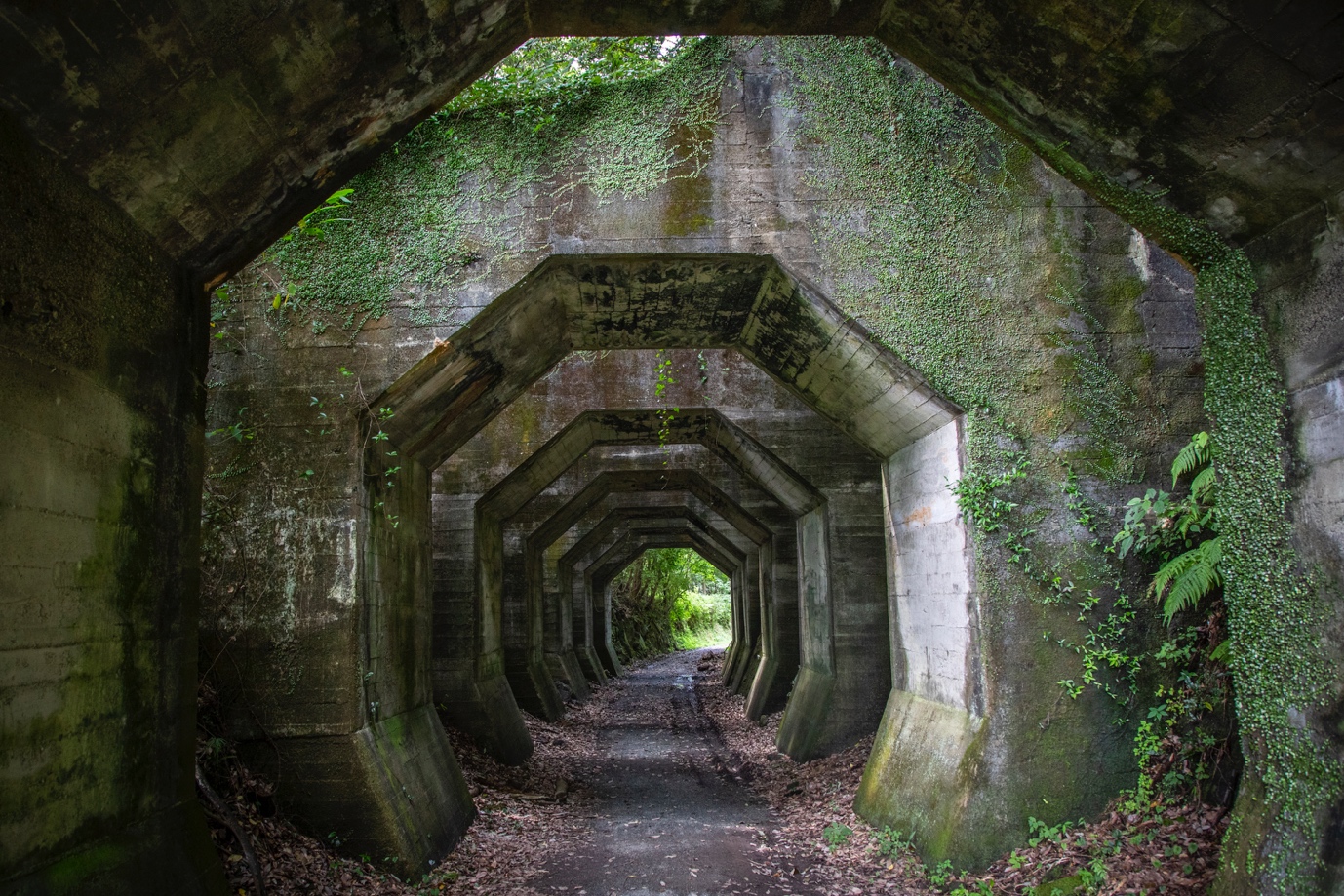 Hakaku Tunnel
