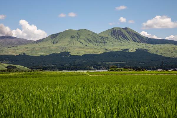 Rice fields sit between craters near the summit of Mt. Aso