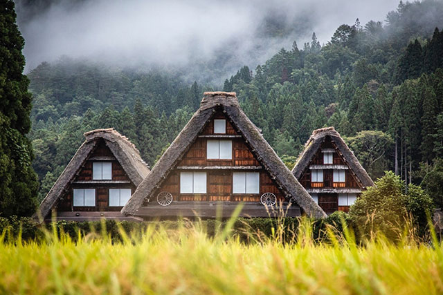 Gassho-zukkuri homes in Shirakawa-go