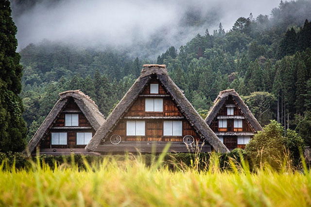 Getting to know the Shirakawago,Takayama and Hida Region