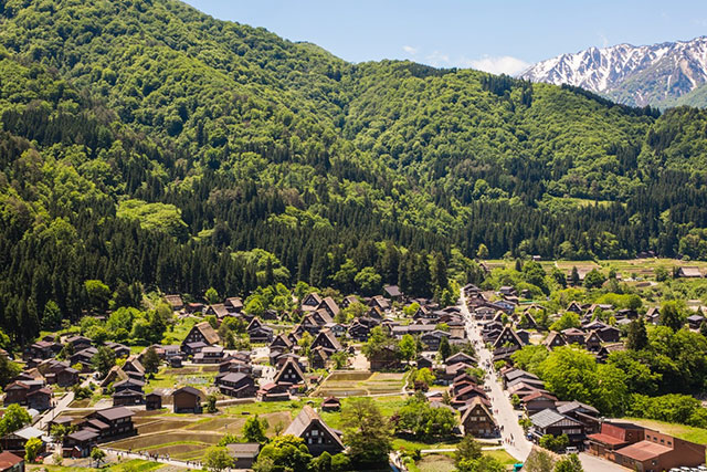 A view of Shirakawago from the observation deck