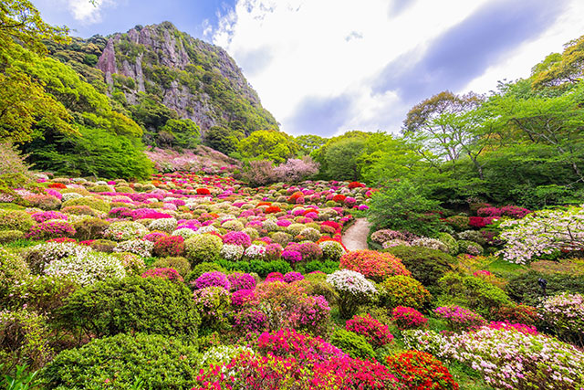 Mifuneyama Rakuen Park looks good in all seasons, with a range of seasonal flowers and plants
