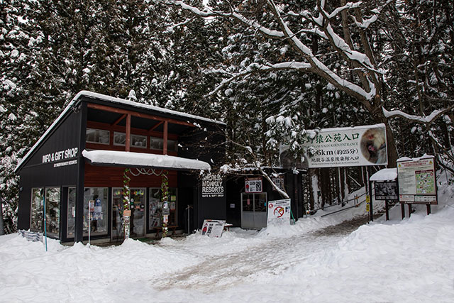 There is a small information point and gift shop at the entrance to the road that leads to the Snow Monkey Park, where you can pick up information and souvenirs related to the park