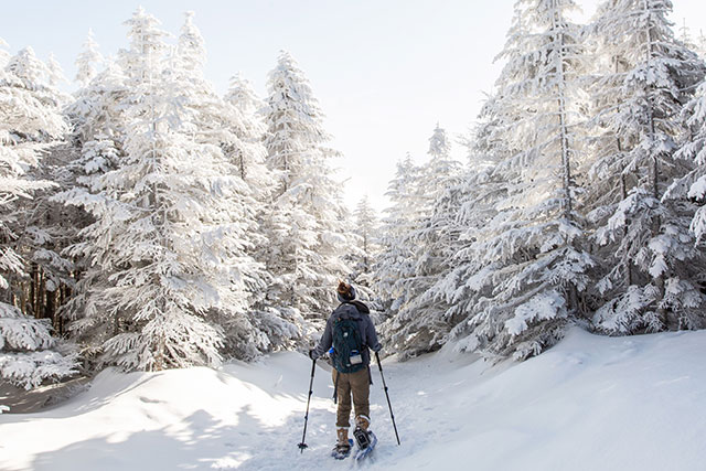 Snowshoe Hiking across Nagano