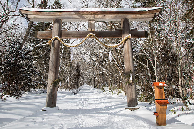 The course takes you through several large wooden gates as you approach the top shrine
