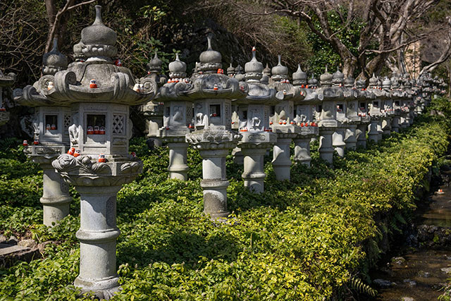 Stone lanterns line the approach to the temple, the lanterns are littered in small Daruma dolls