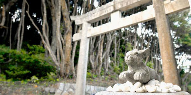 日本最古のラブストーリー！「白兎神社」の白ウサギに縁結びのお願いを