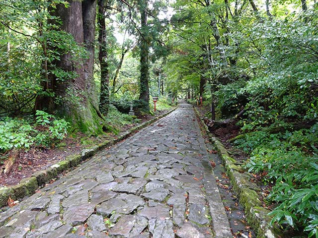 名山「大山」と、一年中楽しめるとっとり花回廊で鳥取の自然を満喫