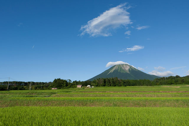 年中楽しめる鳥取の花回廊と名山「大山」を巡る旅