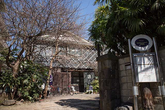 桜の木に囲まれた工房。時折猫が通りかかるのどかな場所です