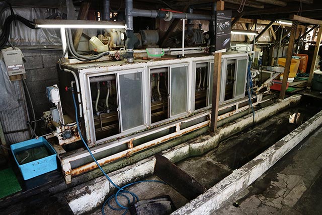 こちらも昭和32年から使われているベテラン機械