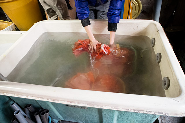 水を含んだ布をもって何度も往復するので、なかなかの体力勝負！