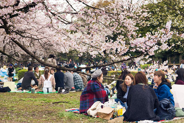 Picnic Spots in Tokyo - 8 of the best