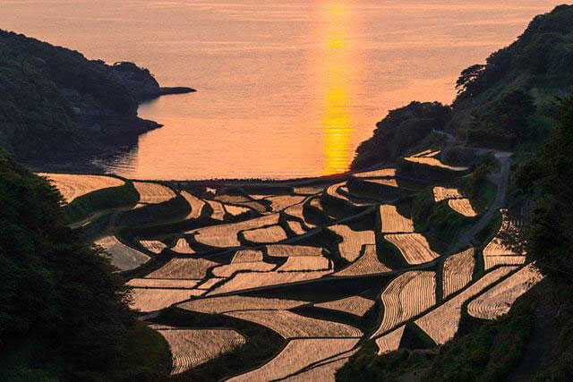 Hamanoura Rice Terraces, Saga Prefecture