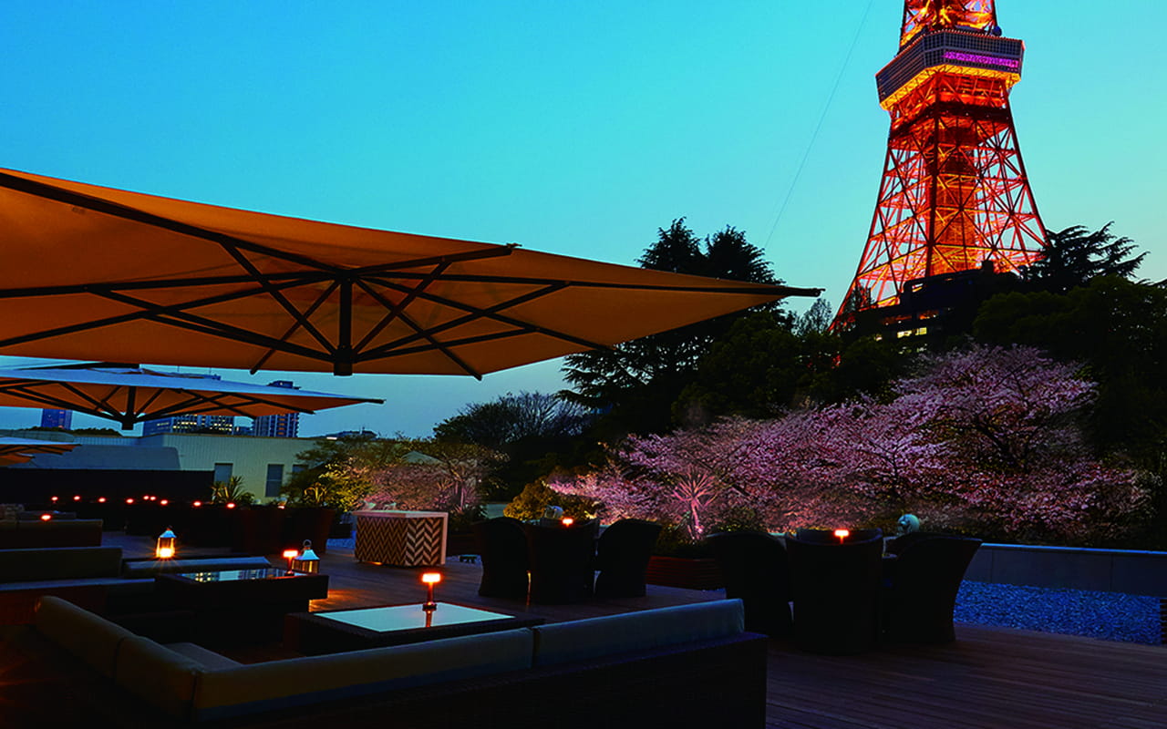 Tokyo Prince Hotel is organizing “Cherry Blossom Festival 2019”, where visitors can enjoy Tokyo Tower and cherry blossoms