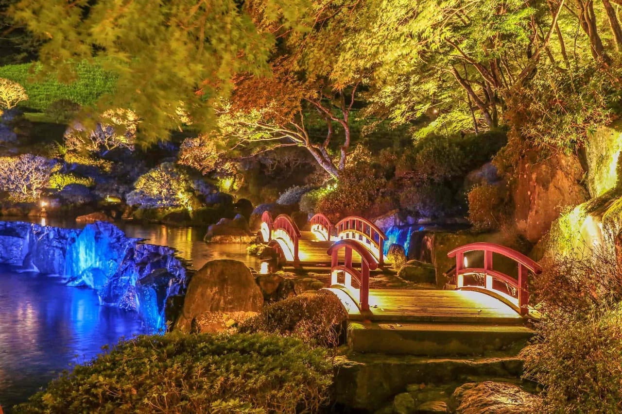 The Beautiful Japanese Garden is Illuminated for a Limited Time “Takeo Lamp 2019”