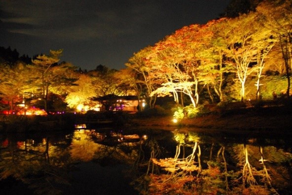 Special Exhibition: The Night Museum - Art Night Promenade - at Mt. Rokko, Hyogo Prefecture this Autumn