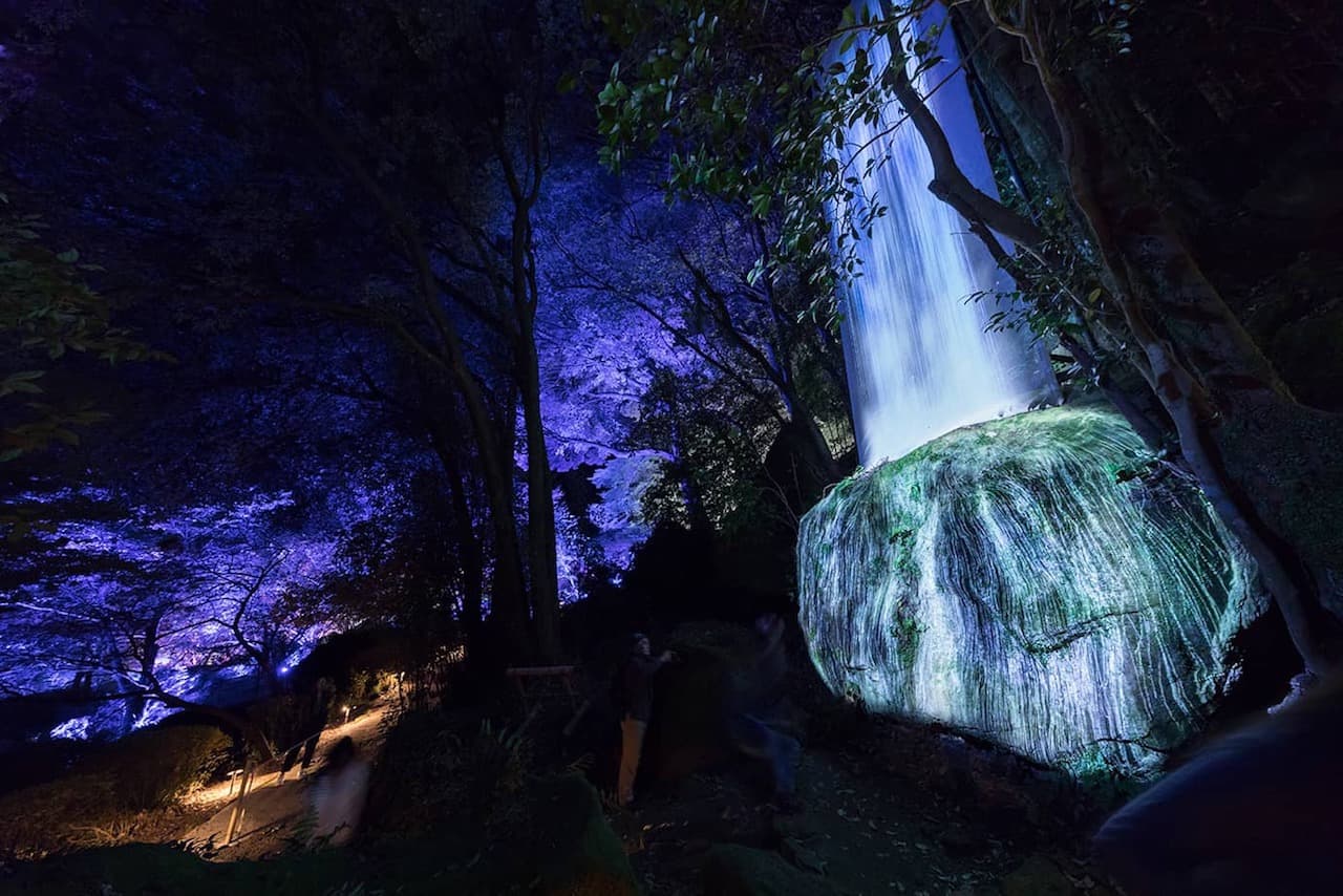 Scaled-Up Massive Art Exhibition teamLab: A Forest Where Gods Live