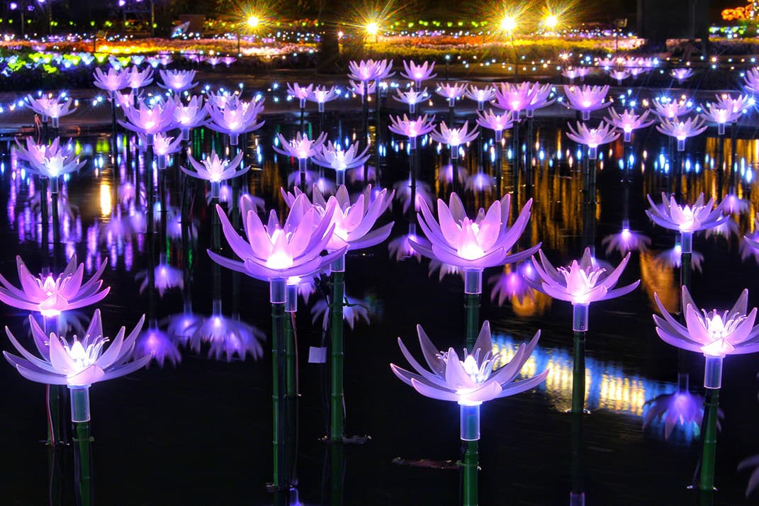 The garden of illuminated flowers: One of the TOP 3 biggest light up events in Japan