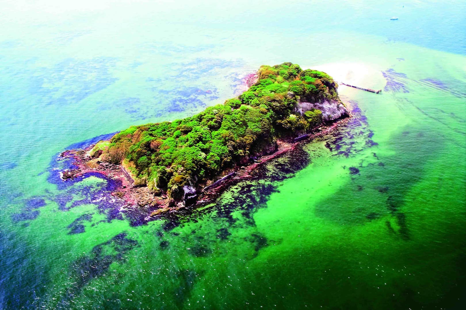Sense Island Sarushima Dark Museum: An art program will be held on the uninhabited island in Kanagawa.