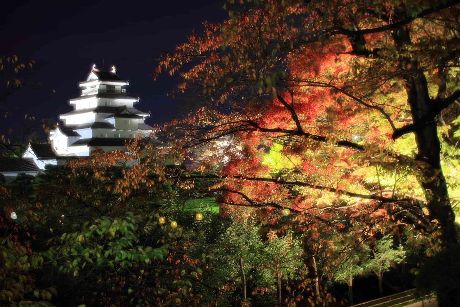 Tsuruga Castle Autumn Light Up Event