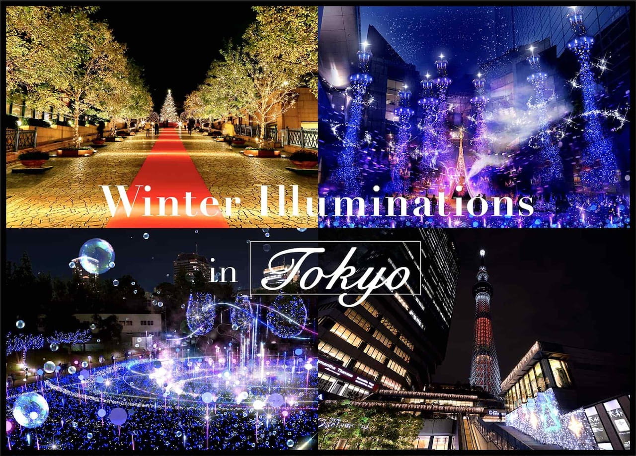 Winter Illuminations in Tokyo