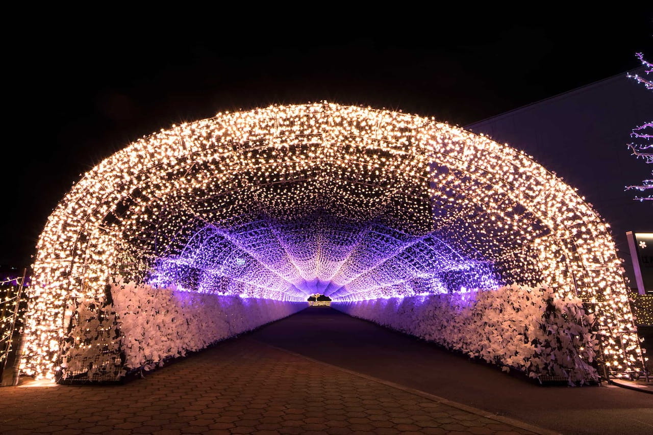 TOKYO MEGA ILLUMINATION 2019-2020: One of the largest illumination exhibits in Tokyo to be held at Oi Racecourse