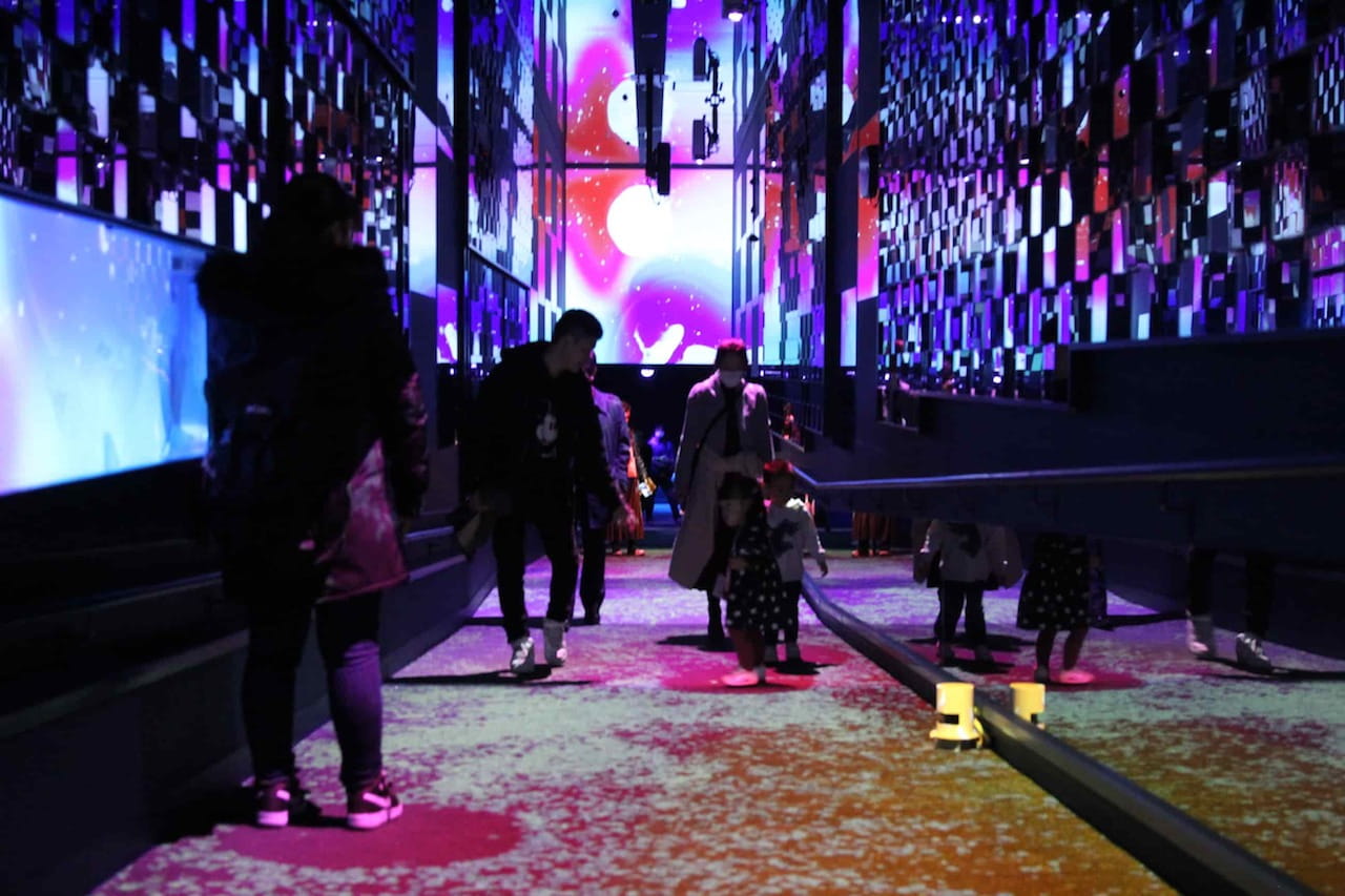 View the Cherry Blossoms with the Jellyfish: Enjoy an Experiential Art Exhibit at the Tokyo Sumida Aquarium
