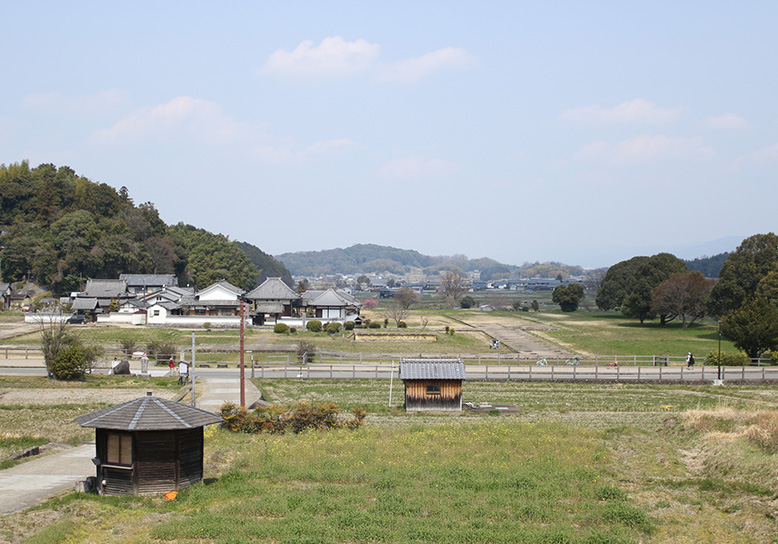 【奈良】自然と歴史を感じる奈良・明日香村サイクリングコース